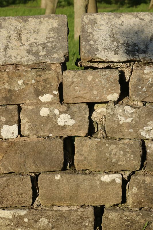 Stone Wall Repair in Linwood, KS